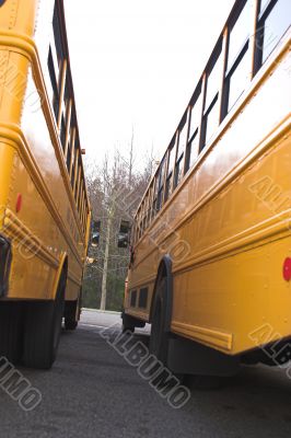 School Buses