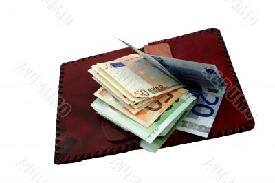purse and euro