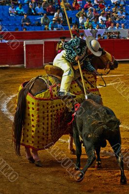 Picador Lancing a Bull