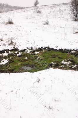 Green grass and snow.