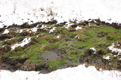 Green grass and snow.