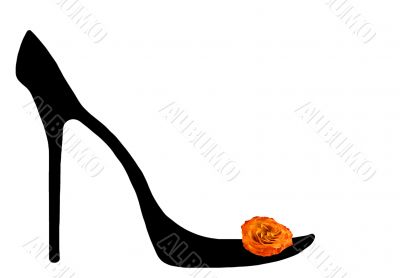 Shoe of the cinderella.