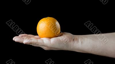 Orange on the palm.