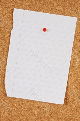 Pin board