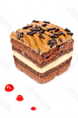 Delicious chocolate cake