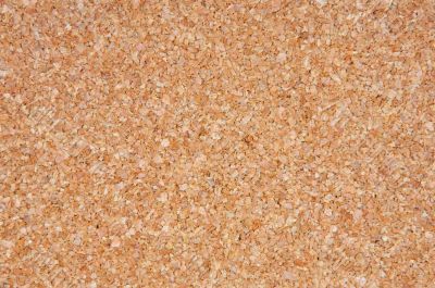 Empty cork board