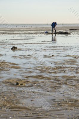 Fishing for worms