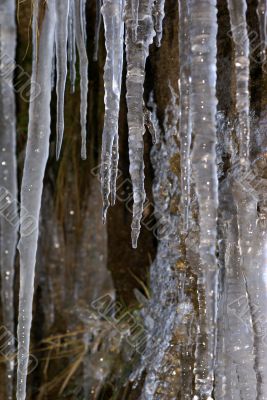 icecles