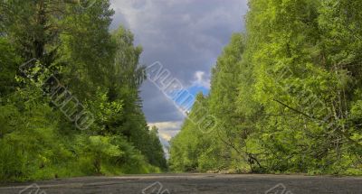 landscape