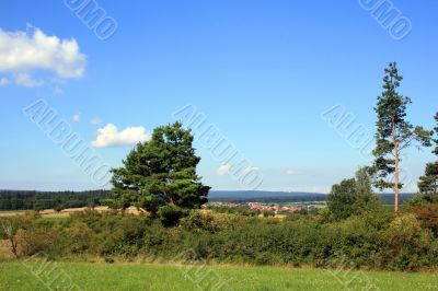 Scenery From Black Forest