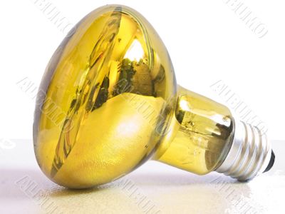 Bulb