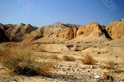arava desert - dead landscape, background
