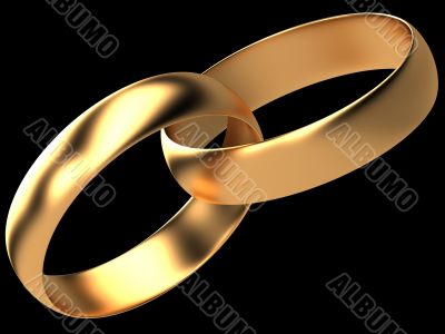 two golden wedding rings