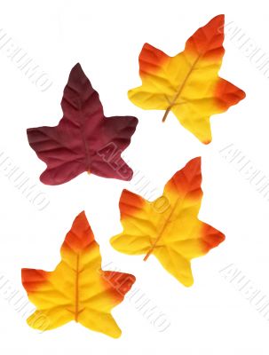 Decoration Leaves