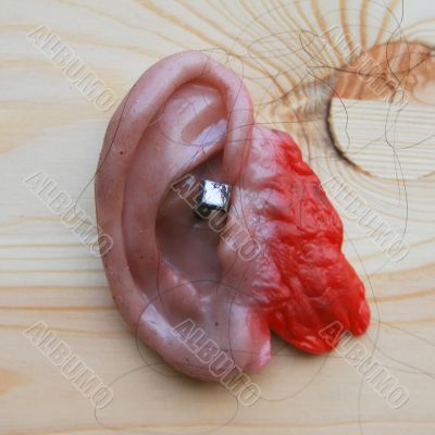 Severed Ear