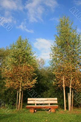 Bench