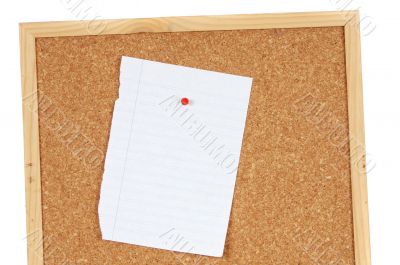 Pin board