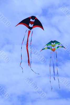kites