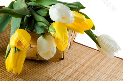 Yellow and white tulips in a basket.