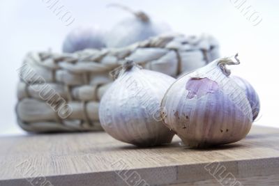 Garlic