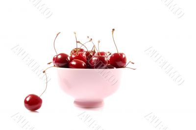 Cherries