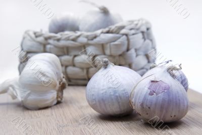 Garlic, Knoblauch