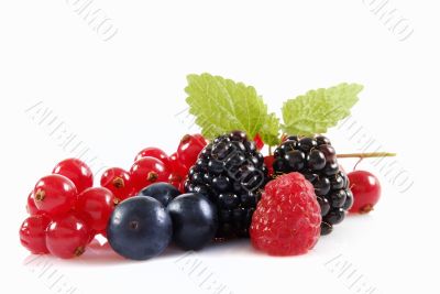 Berries