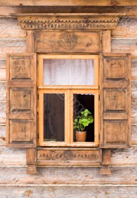 Window with the flower