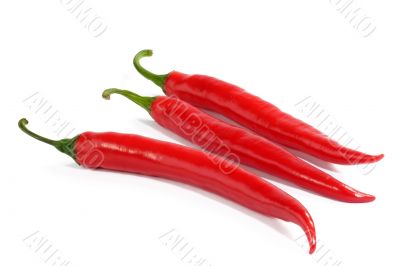 Three chilies