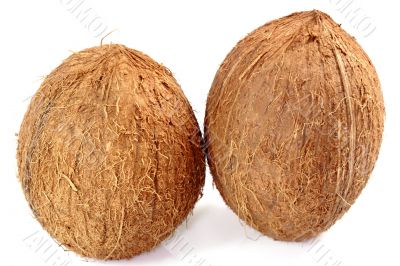 Two Coconuts