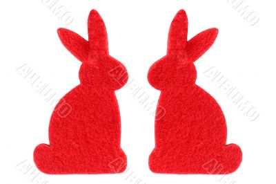 Two red rabbits
