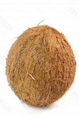 Coconut