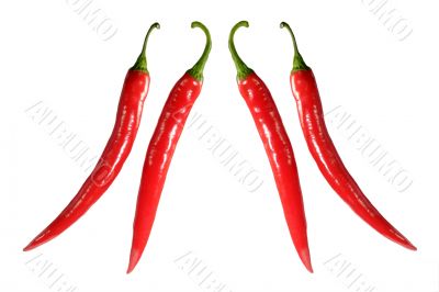 Two pairs of chilies