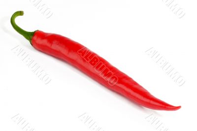 Chili pepper