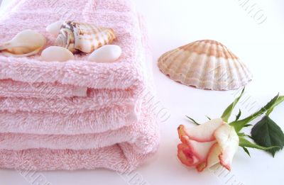 Bath still-life