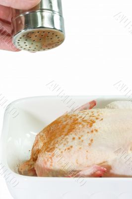 Flavoured Chicken