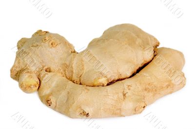 Fresh Ginger