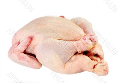 Raw Chicken