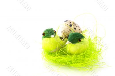 easter birds