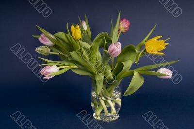 bunch of tulips