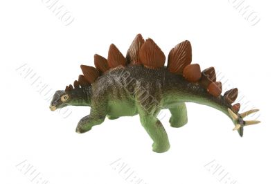 Stegosaurus 1
