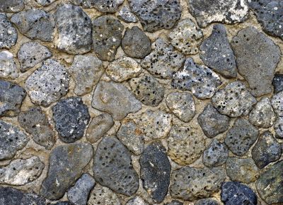 Old Sea Shell Rocks