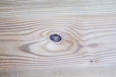Wood texture