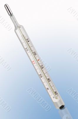 Mercury thermometer