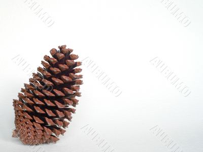 A cone
