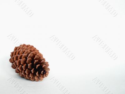 A cone