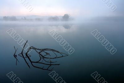 misty morning