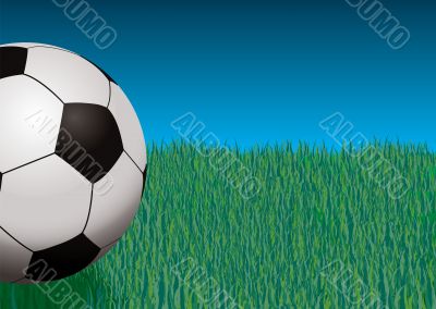 football giant