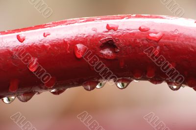 rain drops
