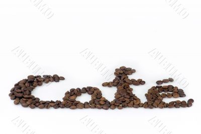 Coffee Beans